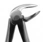 Preview: Extracting Forceps Nr. 33